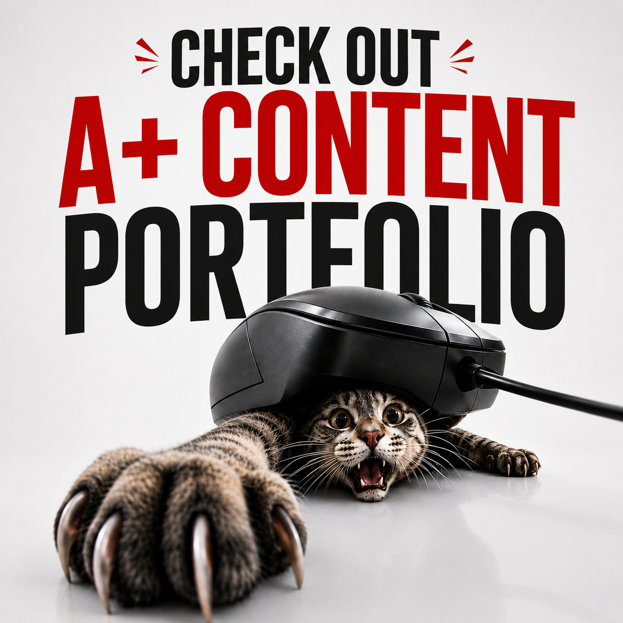 A+ Content portfolio